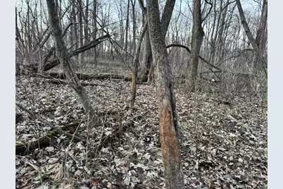 123.5 M/L Acres State Road 81, Beloit, WI 53511 - Photo 61