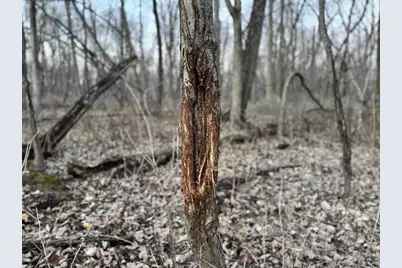 123.5 M/L Acres State Road 81, Beloit, WI 53511 - Photo 65