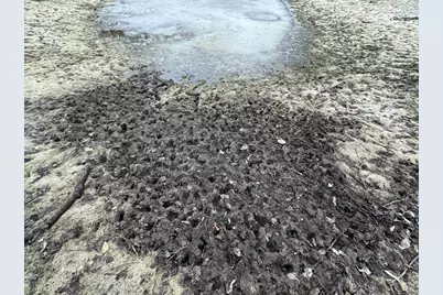 123.5 M/L Acres State Road 81, Beloit, WI 53511 - Photo 51