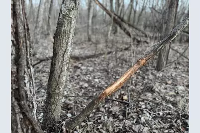 123.5 M/L Acres State Road 81, Beloit, WI 53511 - Photo 67