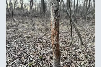 123.5 M/L Acres State Road 81, Beloit, WI 53511 - Photo 63