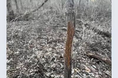 123.5 M/L Acres State Road 81, Beloit, WI 53511 - Photo 69