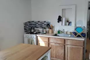 411 S Paterson St, Madison, WI 53703 - Photo 11