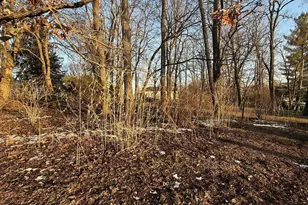 219 W Commerce St, Mineral Point, WI 53565 - Photo 39