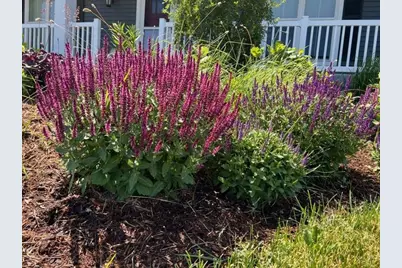 3123 Fran's Drive, Sun Prairie, WI 53590 - Photo 41