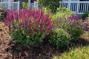 3123 Fran's Dr, Sun Prairie, WI 53590 - Photo 41