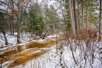 Lot 13 W Kingsbury Drive, Necedah, WI 54646 - Photo 17