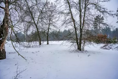 Lot 13 W Kingsbury Drive, Necedah, WI 54646 - Photo 25