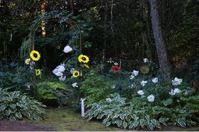 W10892 County Road V, Lodi, WI 53555 - Photo 55