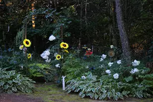 W10892 Co Rd V, Lodi, WI 53555 - Photo 55