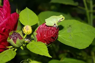 W10892 Co Rd V, Lodi, WI 53555 - Photo 57