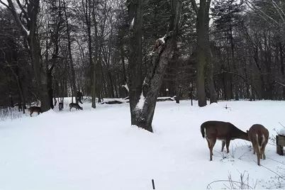 W10892 County Road V, Lodi, WI 53555 - Photo 43