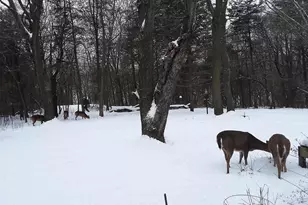 W10892 Co Rd V, Lodi, WI 53555 - Photo 43