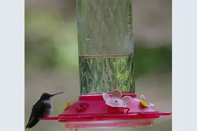 W10892 County Road V, Lodi, WI 53555 - Photo 53