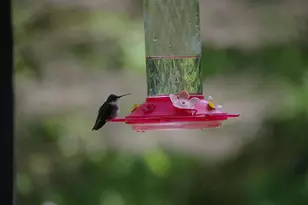 W10892 Co Rd V, Lodi, WI 53555 - Photo 53