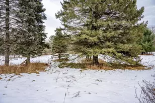 N13413 12th Ave, Necedah, WI 54646 - Photo 21