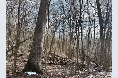 68.73 +/- Acres S Sleepy Hollow Road, Gays Mills, WI 54631 - Photo 33