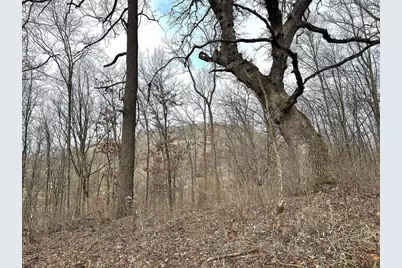 68.73 +/- Acres S Sleepy Hollow Road, Gays Mills, WI 54631 - Photo 19