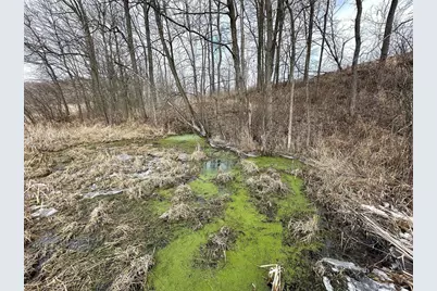 68.73 +/- Acres S Sleepy Hollow Road, Gays Mills, WI 54631 - Photo 17