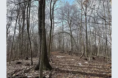 68.73 +/- Acres S Sleepy Hollow Road, Gays Mills, WI 54631 - Photo 25