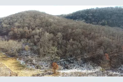 68.73 +/- Acres S Sleepy Hollow Road, Gays Mills, WI 54631 - Photo 7