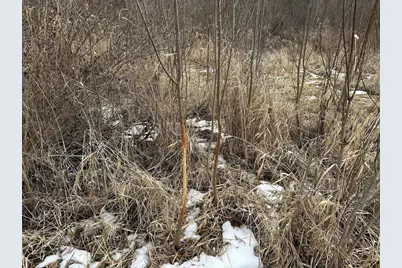 68.73 +/- Acres S Sleepy Hollow Road, Gays Mills, WI 54631 - Photo 13