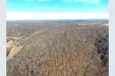 68.73 +/- Acres S Sleepy Hollow Road, Gays Mills, WI 54631 - Photo 11