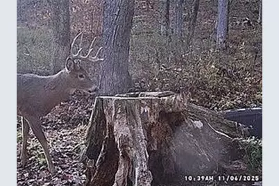 68.73 +/- Acres S Sleepy Hollow Road, Gays Mills, WI 54631 - Photo 41