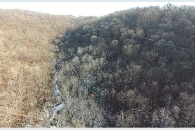 68.73 +/- Acres S Sleepy Hollow Road, Gays Mills, WI 54631 - Photo 9