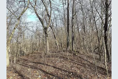 68.73 +/- Acres S Sleepy Hollow Road, Gays Mills, WI 54631 - Photo 27