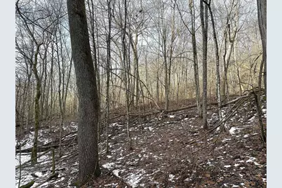 68.73 +/- Acres S Sleepy Hollow Road, Gays Mills, WI 54631 - Photo 23