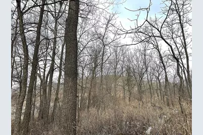 68.73 +/- Acres S Sleepy Hollow Road, Gays Mills, WI 54631 - Photo 15