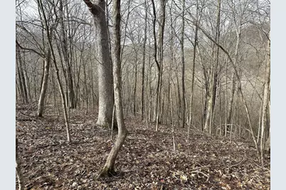 68.73 +/- Acres S Sleepy Hollow Road, Gays Mills, WI 54631 - Photo 21