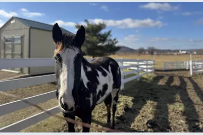 28632 County Hwy Ba, Richland Center, WI 53581 - Photo 1
