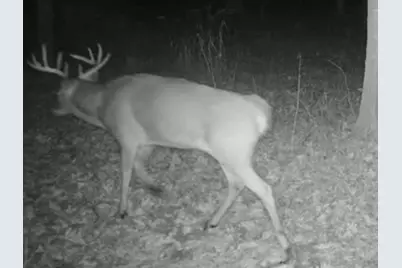 W1702 Golden Road, Dalton, WI 53926 - Photo 75