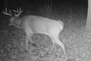 W1702 Golden Rd, Dalton, WI 53926 - Photo 75