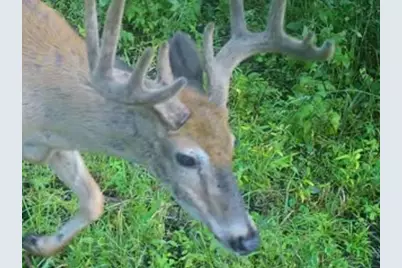 W1702 Golden Road, Dalton, WI 53926 - Photo 83