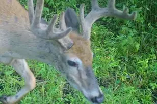 W1702 Golden Rd, Dalton, WI 53926 - Photo 83