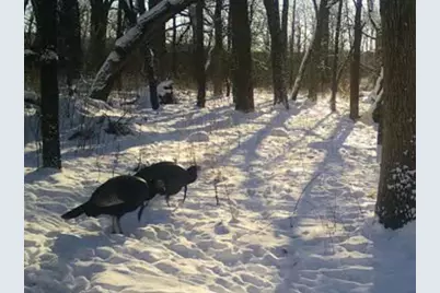 W1702 Golden Road, Dalton, WI 53926 - Photo 81