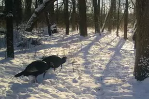 W1702 Golden Rd, Dalton, WI 53926 - Photo 81