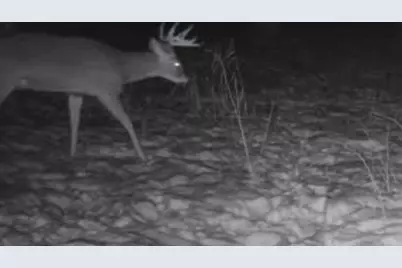 W1702 Golden Road, Dalton, WI 53926 - Photo 77