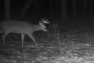 W1702 Golden Rd, Dalton, WI 53926 - Photo 77