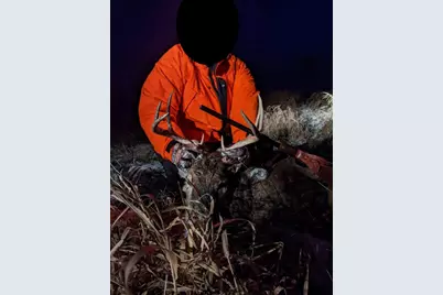 Tbd 5th Avenue, Camp Douglas, WI 54618 - Photo 15