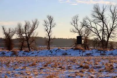 Tbd 5th Avenue, Camp Douglas, WI 54618 - Photo 11