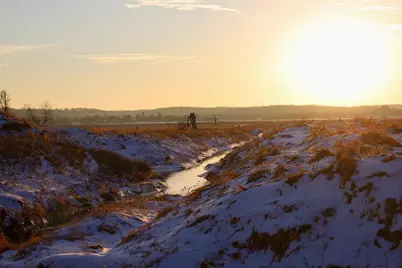 Tbd 5th Avenue, Camp Douglas, WI 54618 - Photo 35