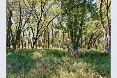 Tbd 5th Avenue, Camp Douglas, WI 54618 - Photo 7