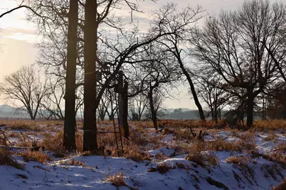 Tbd 5th Avenue, Camp Douglas, WI 54618 - Photo 9