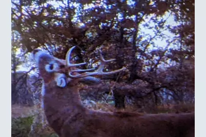 Tbd 5th Avenue, Camp Douglas, WI 54618 - Photo 17