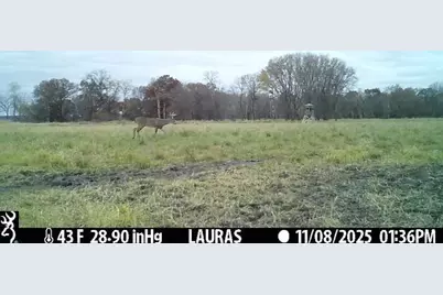 Tbd 5th Avenue, Camp Douglas, WI 54618 - Photo 23