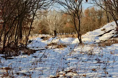 Tbd 5th Avenue, Camp Douglas, WI 54618 - Photo 3